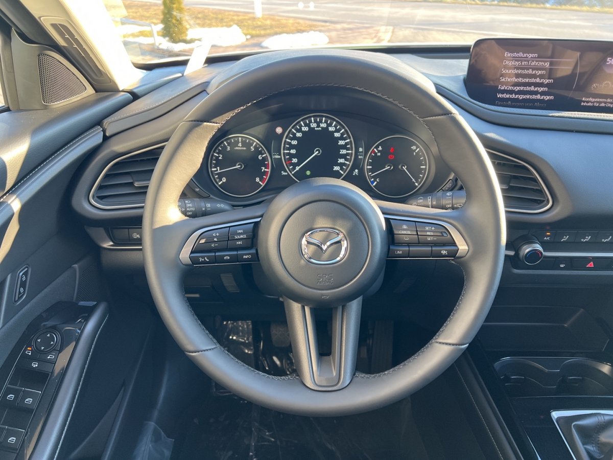 Mazda CX-30 CX-30 Alexa Sprachstrg. Einparkhh Fernlichassi L - 