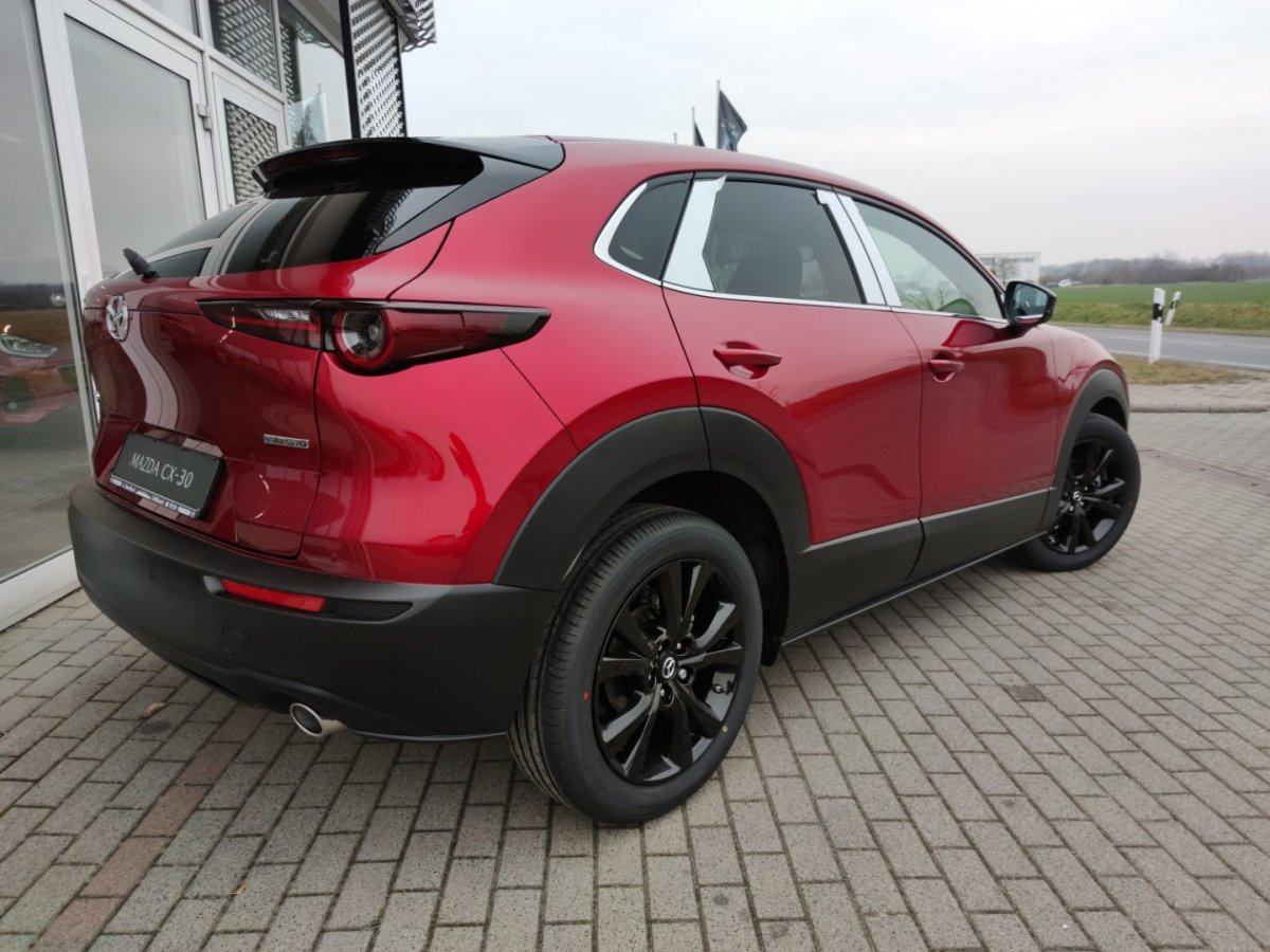 Mazda CX-30 CX-30 Homura RFK HUD Klimaaut Sitzheizg Freispre - 