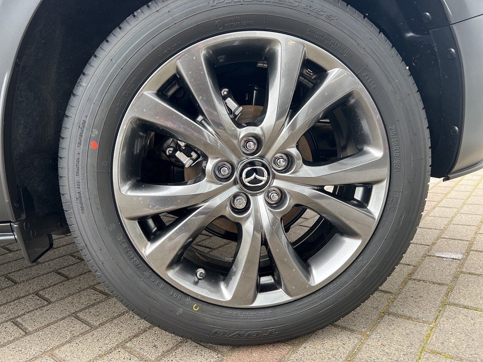 Mazda CX-30 CX-30 Exclusive BOSE Matrix 360° Klimaaut Tempom - 