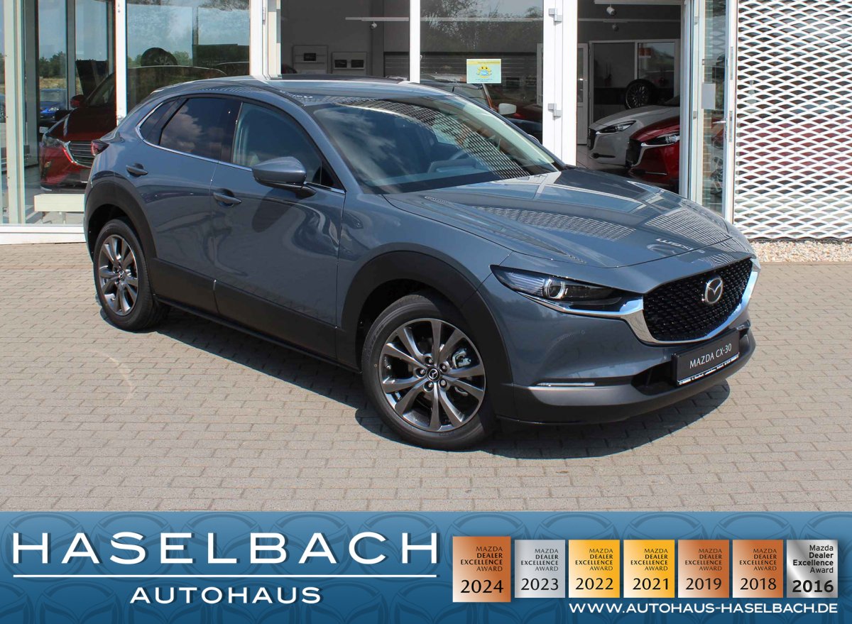 Mazda CX-30 CX-30 Selection Matrix Freisprech LogIn RFK Spur - 