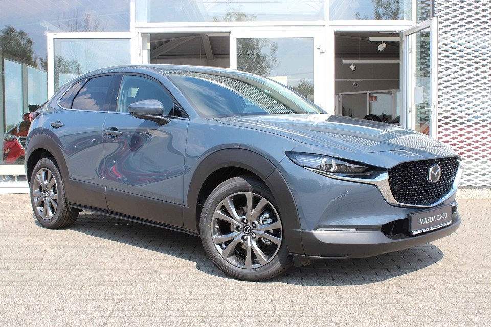 Mazda CX-30 CX-30 Selection Matrix Freisprech LogIn RFK Spur - 