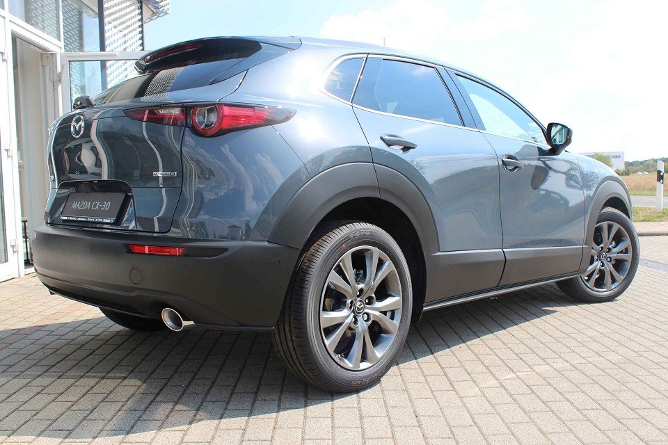 Mazda CX-30 CX-30 Selection Matrix Freisprech LogIn RFK Spur - 