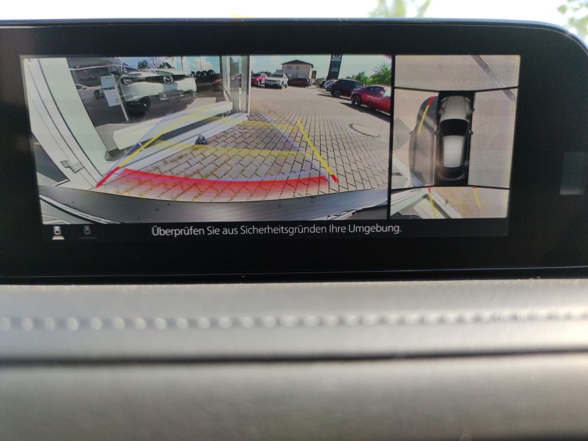 Mazda CX-30 CX-30 Selection Matrix Freisprech LogIn RFK Spur - 