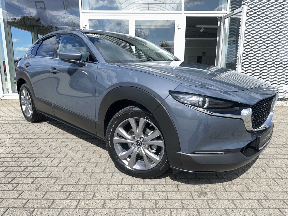 Mazda CX-30 CX-30 Selection Matrix Freisprech LogIn RFK RVM  - 