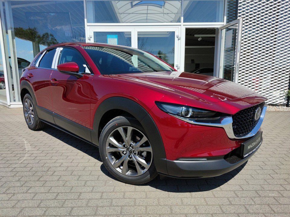 Mazda CX-30 CX-30 Exclusive Matrix BOSE 360° LogIn Sitzheizg - 