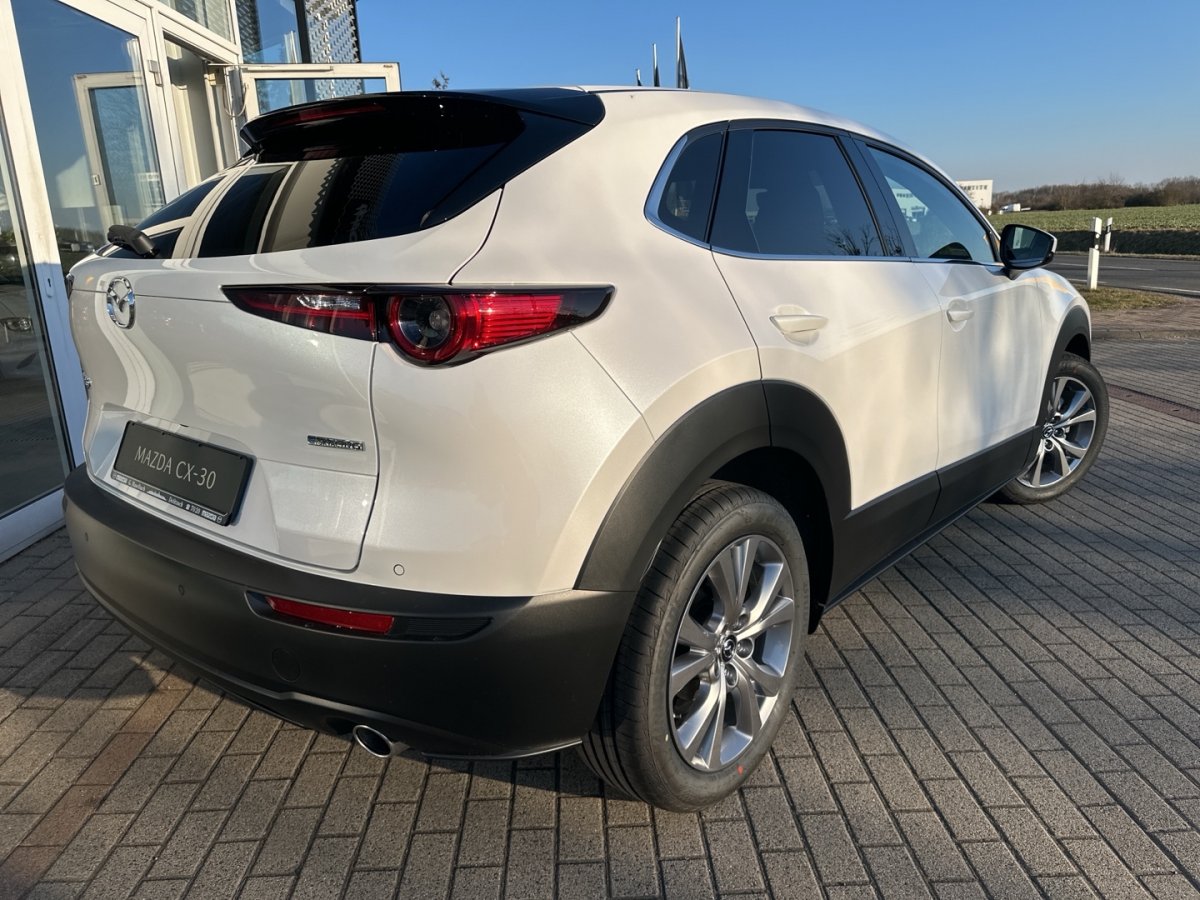 Mazda CX-30 CX-30 Exclusive 360° BOSE Lenkradheizg Freisprec - 