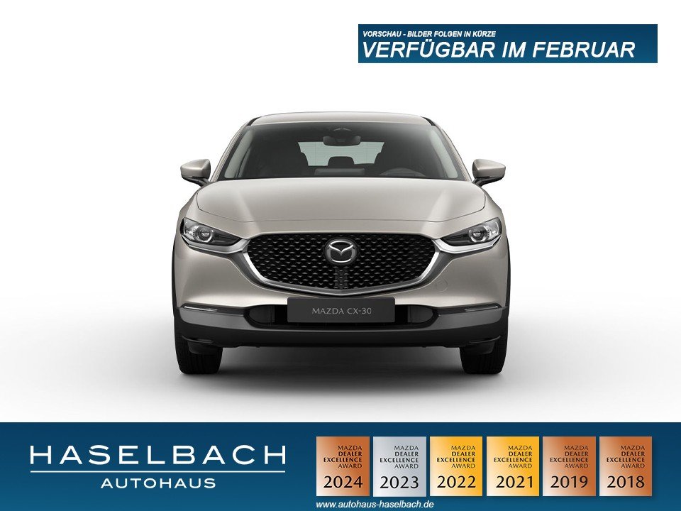 Mazda CX-30 CX-30 Nagisa RFK BOSE Teilleder Login Sitzheizg  - 