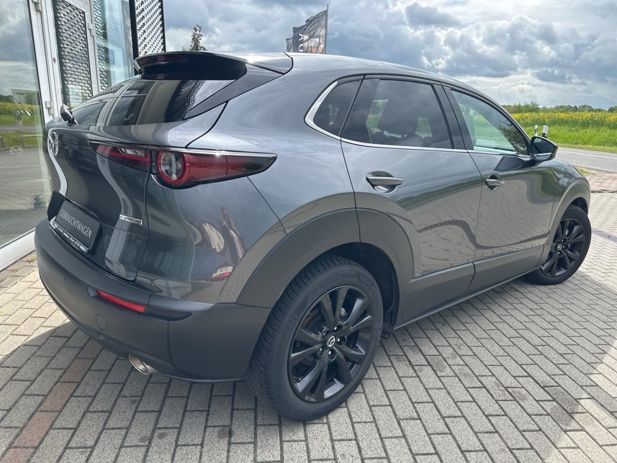 Mazda CX-30 CX-30 Homura LogIn RFK Freisprech Sitzheizg MRCC - 