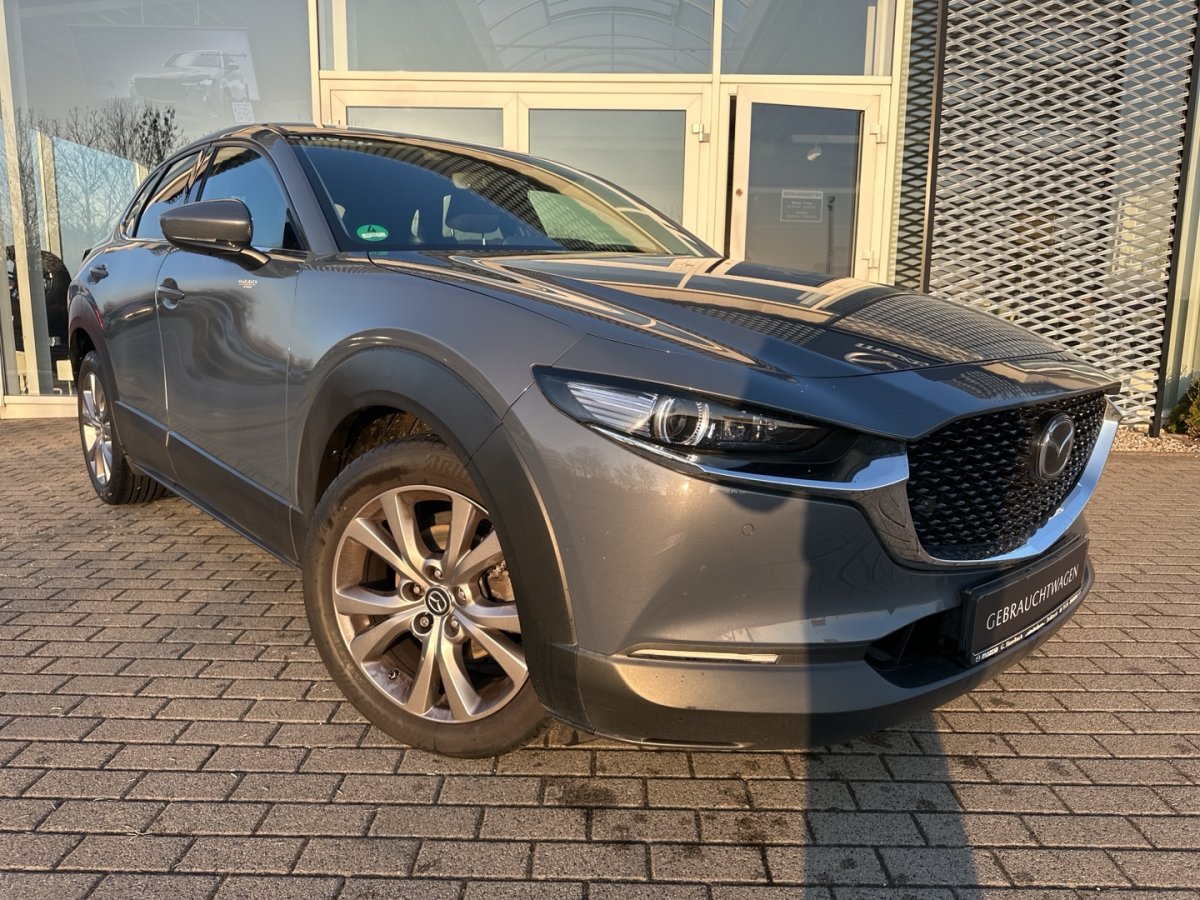 Mazda CX-30 CX-30 Selection Matrix Freisprech LogIn RFK RVM  - 