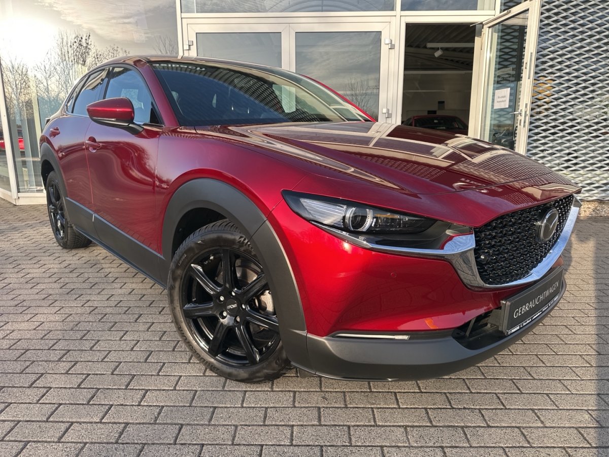 Mazda CX-30 CX-30 SELECTION Leder 360° BOSE Matrix MRCC Sitz - 