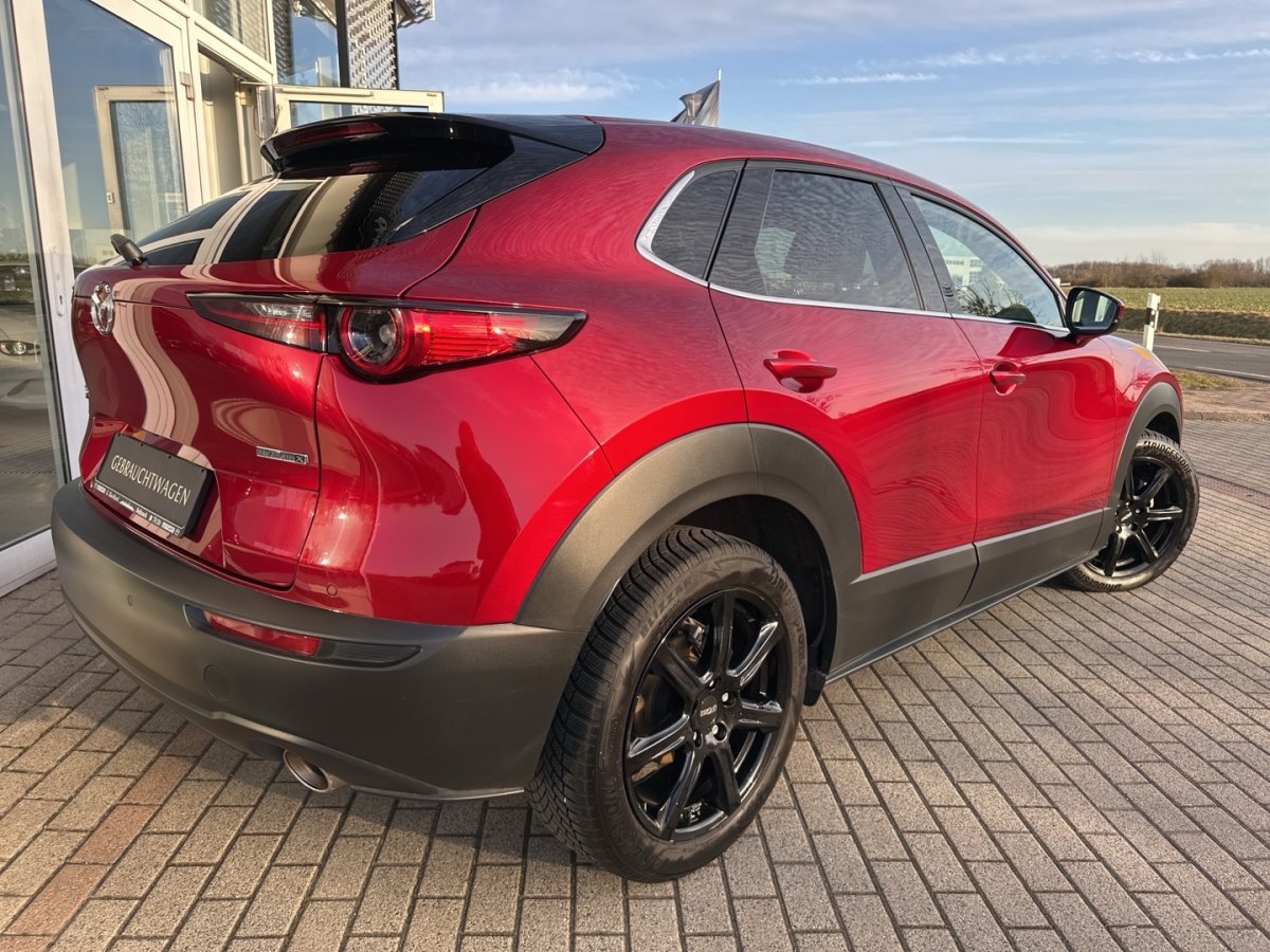 Mazda CX-30 CX-30 SELECTION Leder 360° BOSE Matrix MRCC Sitz - 