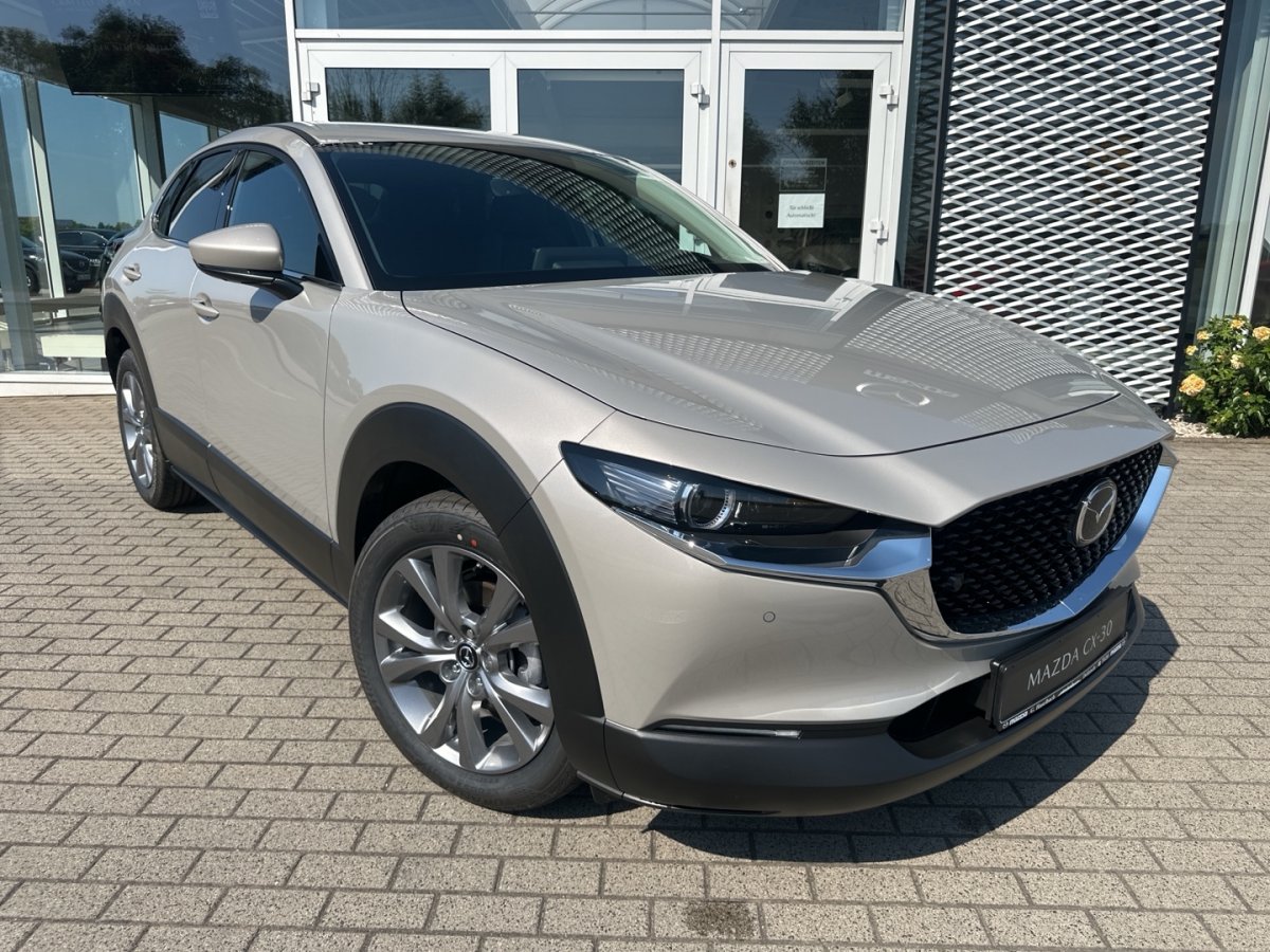 Mazda CX-30 CX-30 Exclusive Sitzheizung 360° Bose Matrix Fre - 