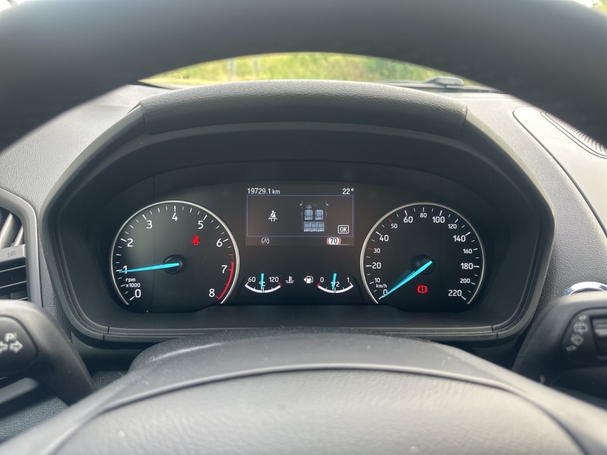 Ford EcoSport EcoSport Active AHK B&O Leder Klimaaut Sitzheizg - 