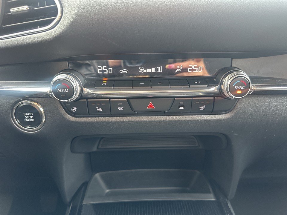 Mazda CX-30 CX-30 SELECTION 360° Matrix BOSE Freisprech Klim - 