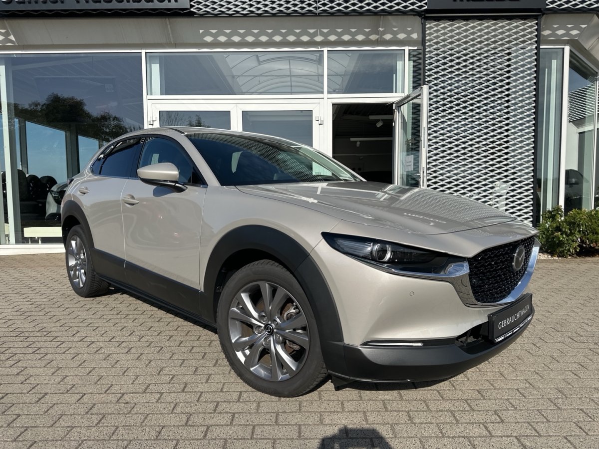 Mazda CX-30 CX-30 Exclusive 360° RFK Bose Matrix Klimaautoma - 