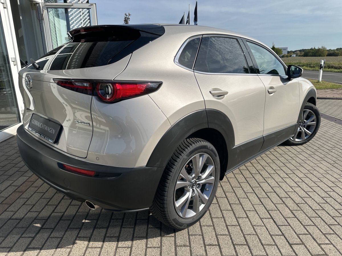 Mazda CX-30 CX-30 Exclusive 360° RFK Bose Matrix Klimaautoma - 
