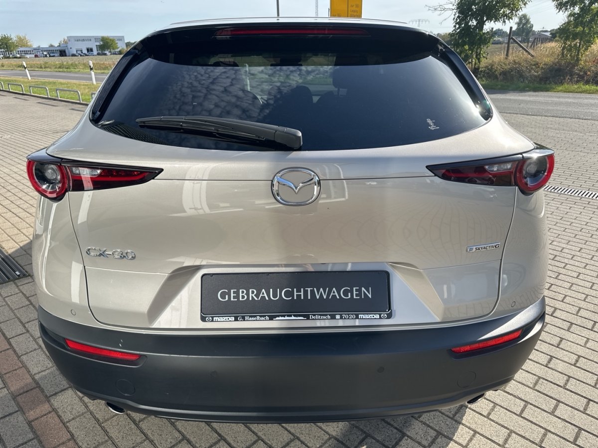 Mazda CX-30 CX-30 Exclusive 360° RFK Bose Matrix Klimaautoma - 