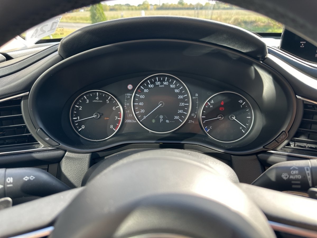 Mazda CX-30 CX-30 Exclusive 360° RFK Bose Matrix Klimaautoma - 
