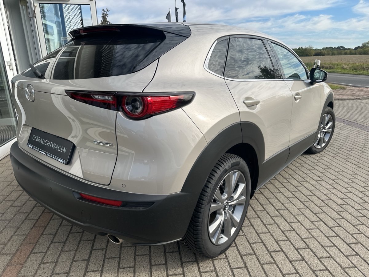 Mazda CX-30 CX-30 Exclusive Matrix 360° Bose 360° Einparkhil - 